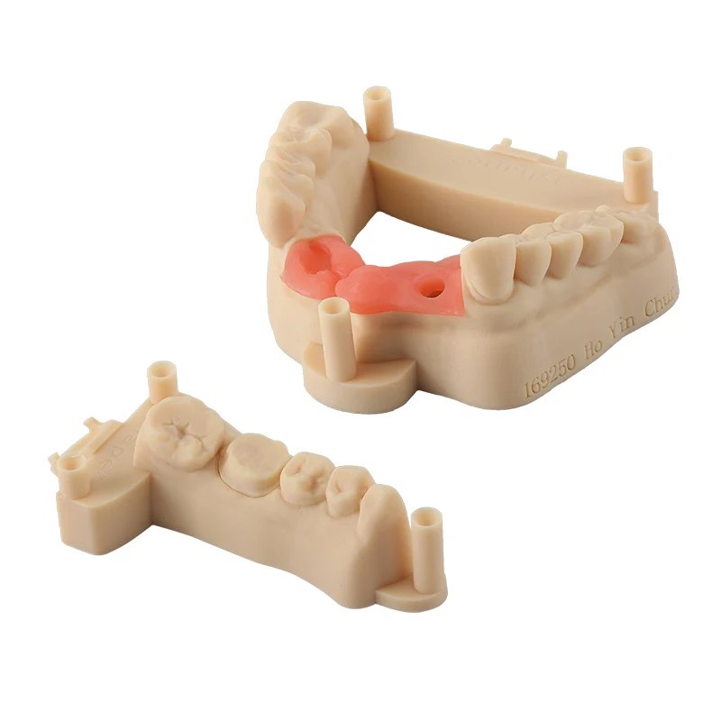 Resione Elastic Model Dental resin Casting 3D Printer Resin For Elegoo Anycubic Resin 405nm UV Resin 3D Printer